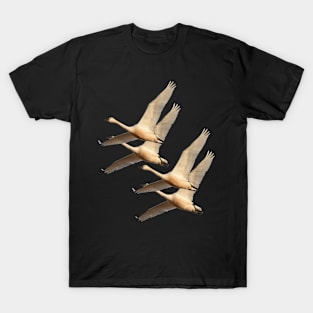 Four Swans T-Shirt